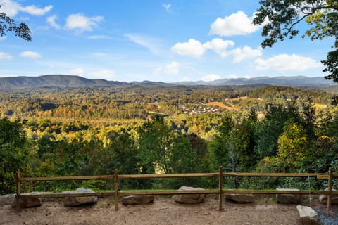 view from the front yard
