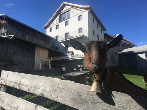 Tgesa Antgerna Appartement/Fewo, Bad, WC, 4 oder mehr Schlafräume