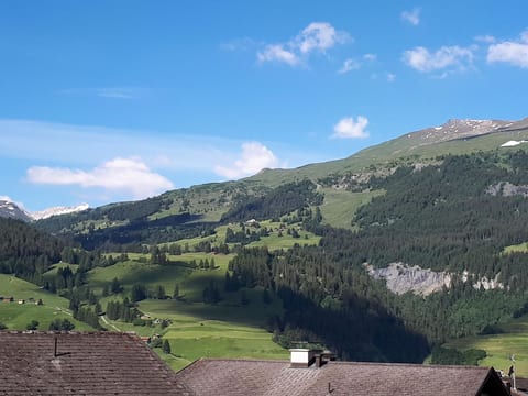 Soras Demarmels Appartement/Fewo, Dusche, WC, 2 Schlafräume