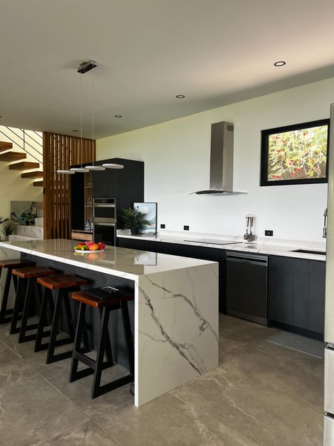 Kitchen: induction cook top,fridge freezer,dishwasher, microwave, coffee maker, ice maker