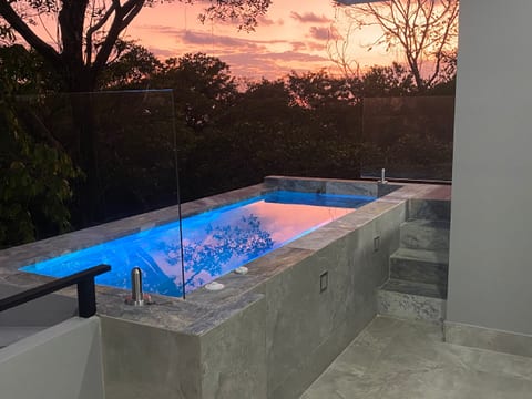 upper jet pool with ocean and rainforest view