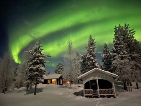 Wilderness & Calmness - Forest Cabins in Swedish Lapland