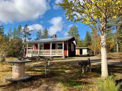 Wilderness & Calmness - Forest Cabins in Swedish Lapland