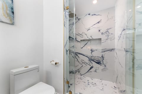 Primary Walk-in Shower