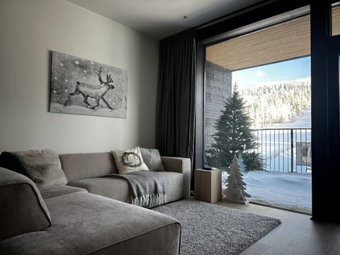 Mountain view from the living room