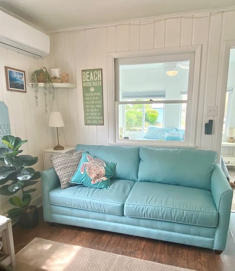 Comfy couch,  pulls out into a queen-sized bed that sleeps two.