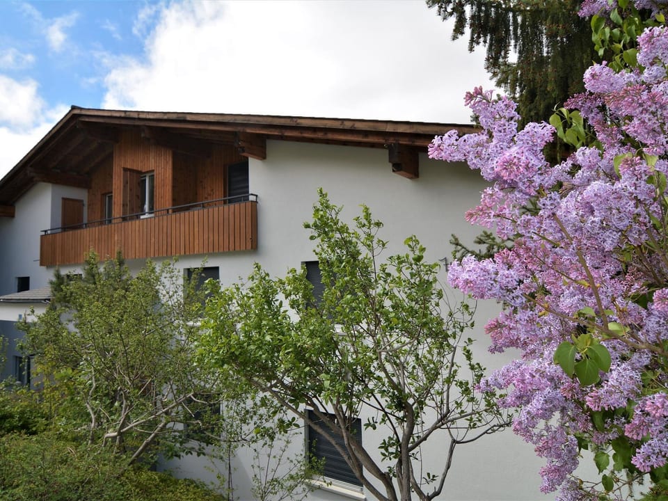 Tgesa Zundregn Appartement/Fewo, Bad, WC, 3 Schlafräume - Savognin