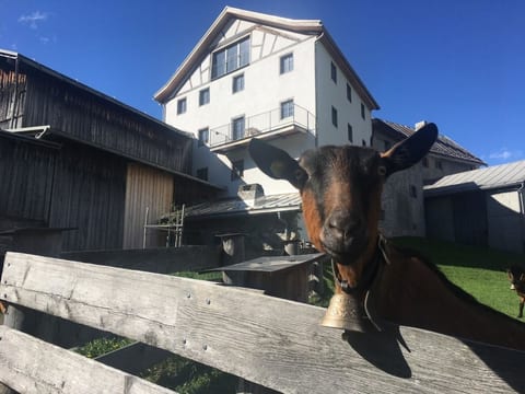 Tgesa Antgerna 1.OG Appartement/Fewo, Bad, WC, 2 Schlafräume