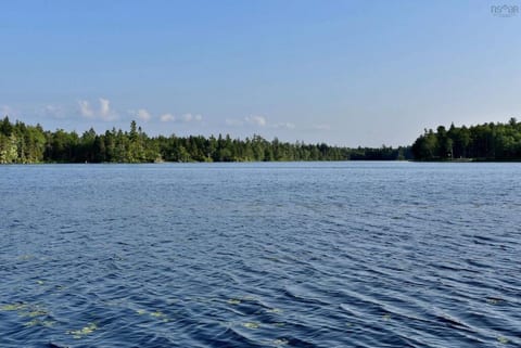 Lakefront Retreat - Idyle Acre - East Lake NS