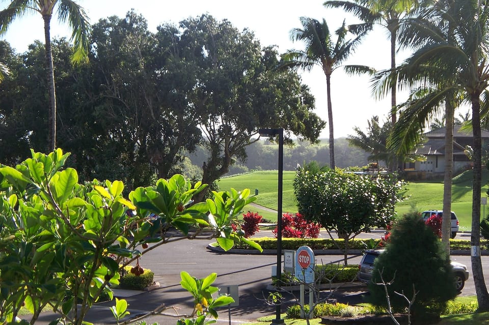 View from the parking lot