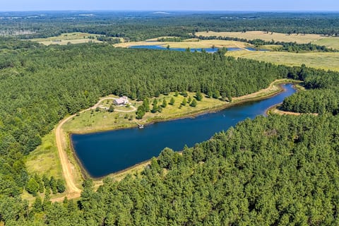 Secluded Waterfront Cabin: Pond, Hot Tub & Trails image 3