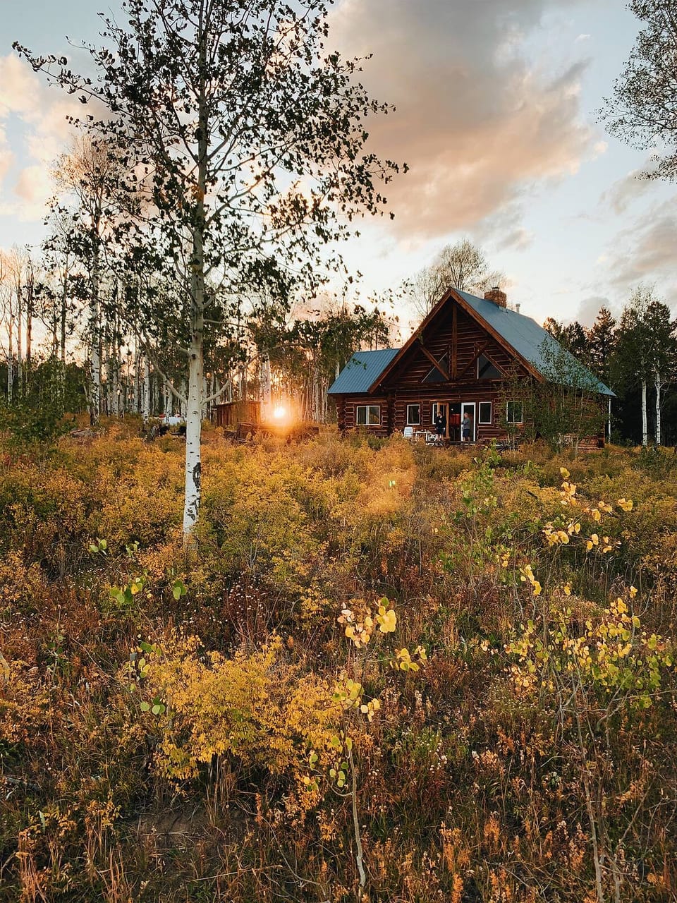 Alpenglow Cabin – Rustic Mountain Retreat - San Miguel County