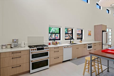 Modern Spacious Luxury Home in Town Ridgway