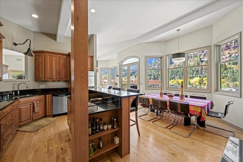 Open kitchen and dining