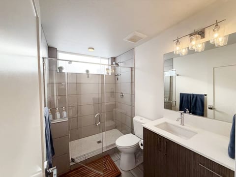 Walk in Shower with window, bench and shampoo, conditioner and body wash