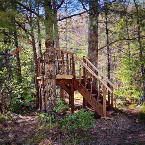 The Carrock Tiny Home