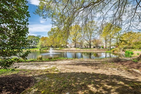 Spring Lake Dog Friendly Between Rehoboth & Dewey image 3