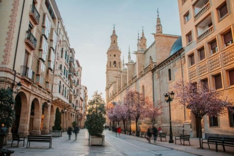 Stunning flat | Historic center | Plaza Mercado