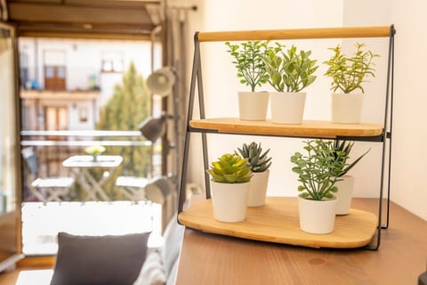 Charming Duplex Penthouse with Terraces
