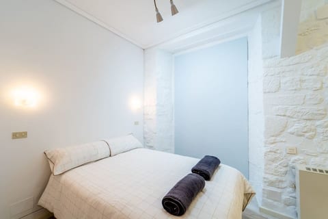 Cozy Central Apartment in Burgos