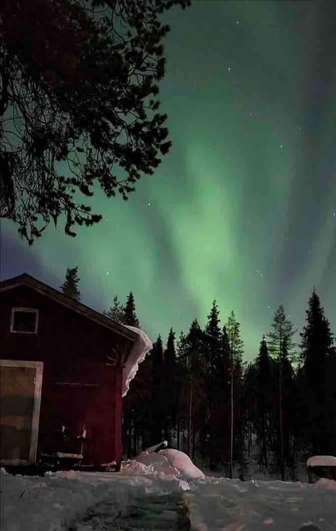 Enchanting auroras above a cozy cabin
