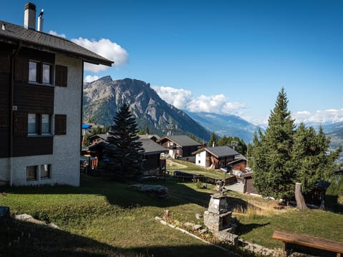 Chalet Sunnuterrasse Appartement/Fewo, Dusche, WC 4-Zimmerwohnung Dusche, WC