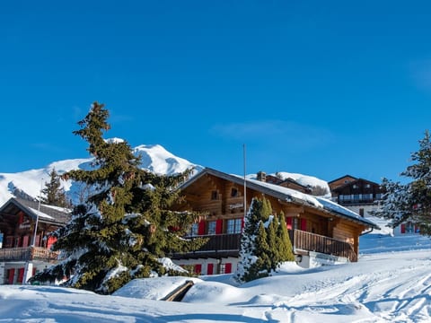 Chalet Elisabeth 6-Bettwohnung, Dusche, WC 6-Bettwohnung