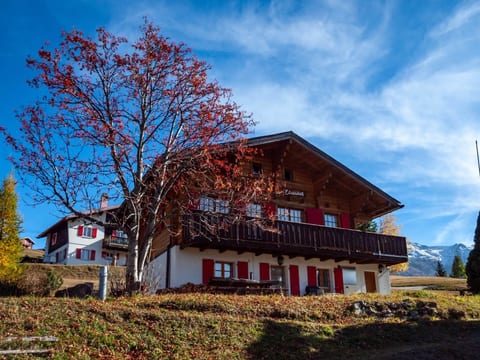 Chalet Elisabeth 6-Bettwohnung, Dusche, WC 6-Bettwohnung