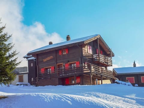 Chalet Alphütte Appartement/Fewo, Dusche, WC 4-Bettwohnung Erdgeschoss