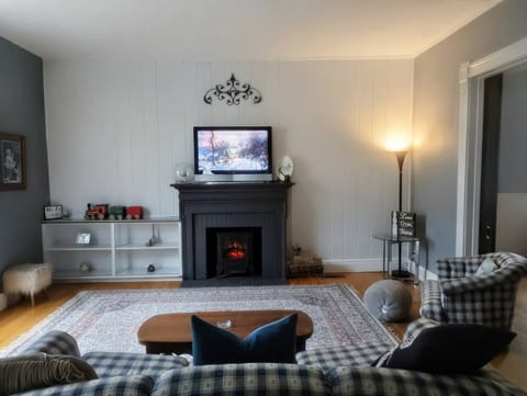 Plenty of room for sofa to fold out into a queen size bed and enjoy movie night with snuggles by the fireplace. In summers there is a light only option, so you don't have to use heat. 