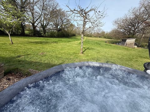 Shepherds hut with hot tub in a private paddock. image 2