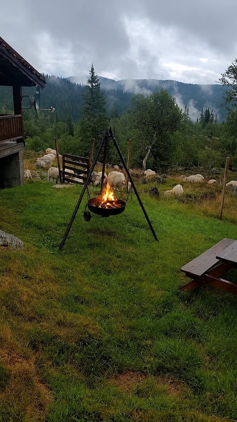 Authentic Secluded Mountain Gem in Telemark image 3