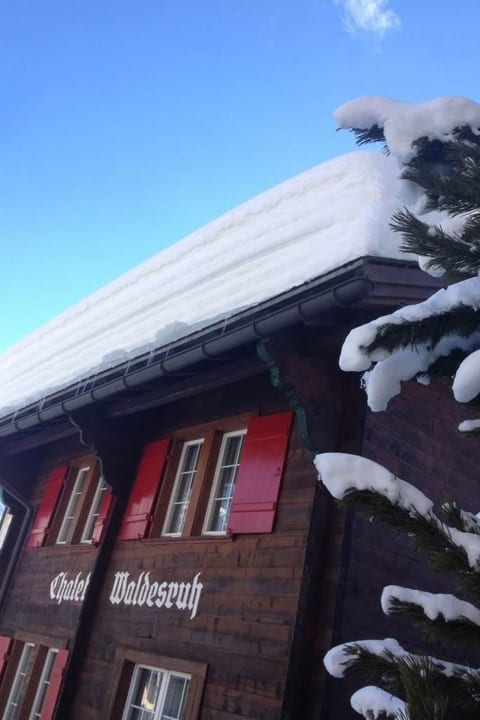 Chalet Waldesruh (2 ZWhg.) 4-Bettwohnung