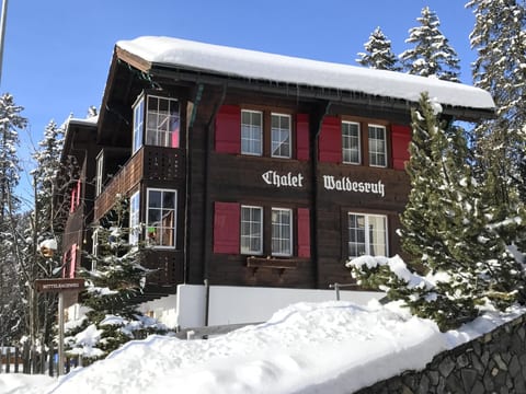 Chalet Waldesruh (3 ZWhg.) 4-Bettwohnung