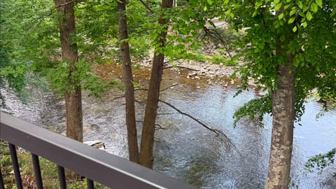 View of Little River from the back deck...