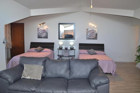Big Confortable Villa in Terceira Island