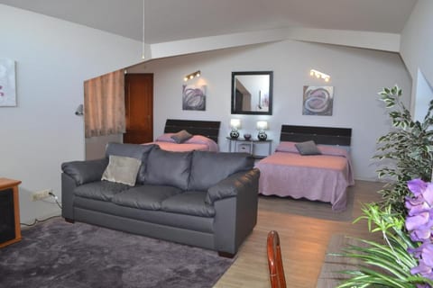 Big Confortable Villa in Terceira Island