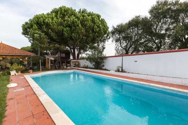 House in a Farm Between Vineyards 1 - Ribafria