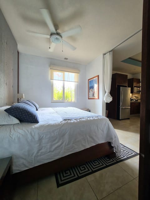 V177 CasaMarnell-Ocean view Rooftop-Luxury Studio image 3