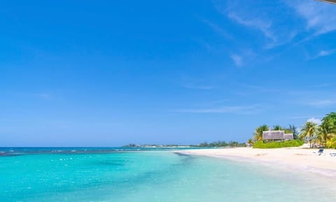 Beachfront 2Bdr/2Bth Ocean-Tropical-Escape