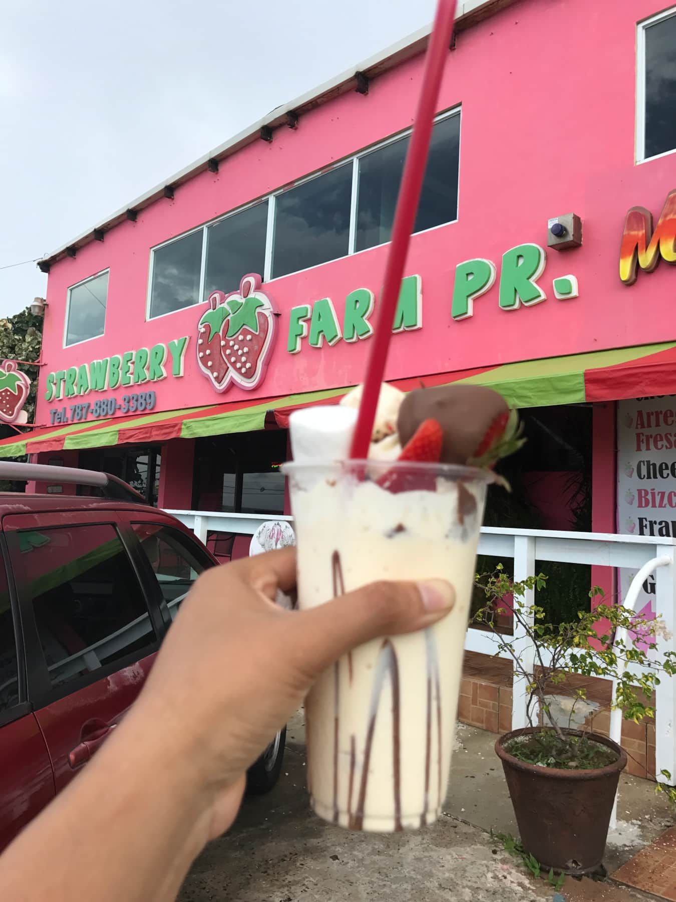 A must try: Frappes @ Strawberry Farm in Arecibo