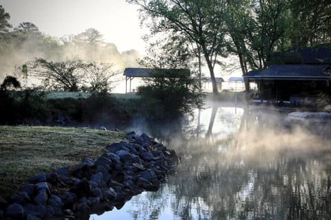 Serene morning mist by the water