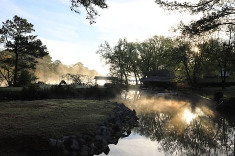 Serene lakeside morning mist