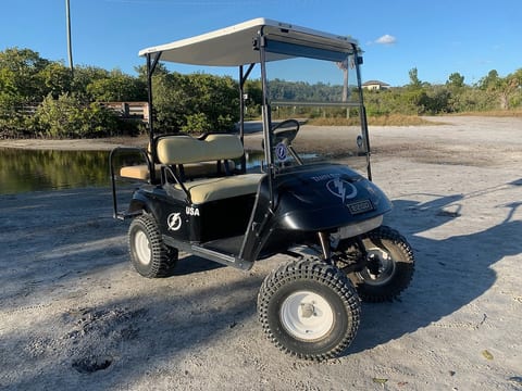 Rent our Golf Cart, "Bolt" !