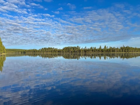 Kivalikkolampi