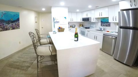 Chef Ready Gourmet Kitchen, Professional S Steel & Designer Equipment
