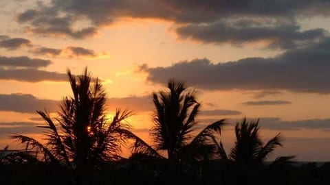 Sunrise at dawn through the palms on our balcony looking over the ocean