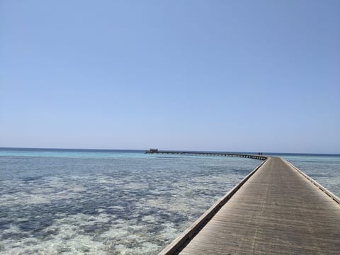 The main Soma bay jetty is about a 7 minute walk away and is perfect for diving and snorkeling