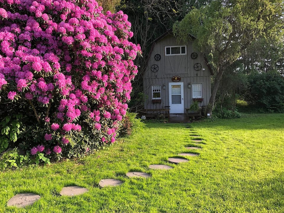 ⭐Wildflower Country Cottage image 1