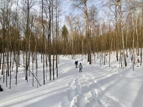 With the included snowshoes you can enjoy the 11 acres of property, or try out the Three Eagle Trail or Tara Lila Snowshoe Trails nearby